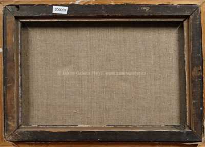  / Pohled na město /   Autor neurčen