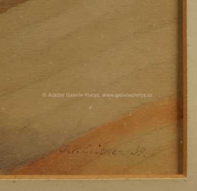  / Kopcovitá krajina / J. V. Leitner