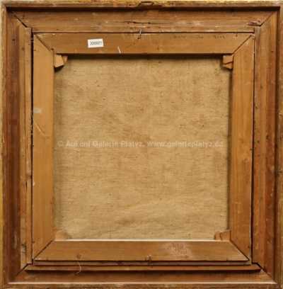  / Zlatá ulička / František  Max