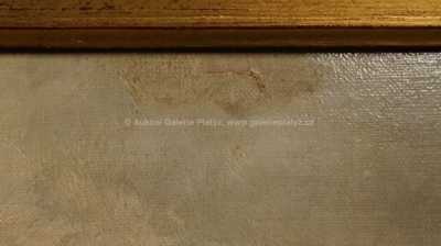  / Na rozbouřeném moři /   Autor neurčen