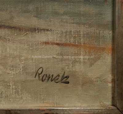  / Lokomotiva / Jaroslav Ronek