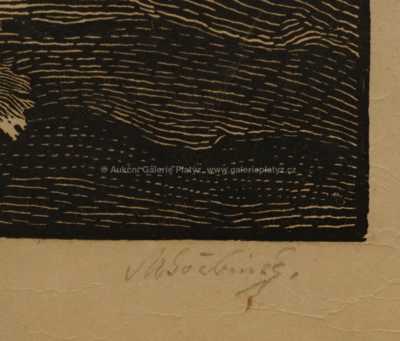  / Jan Křtitel / Max Švabinský