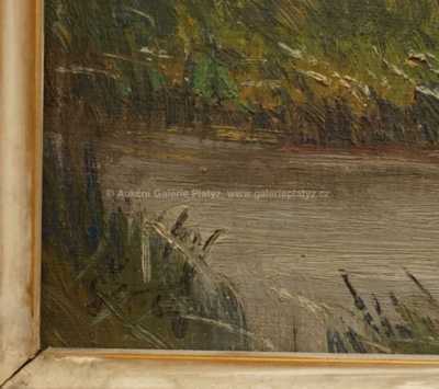  / Tůň / Otakar Štembera