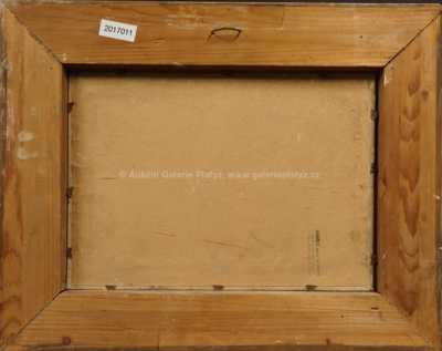  / Tůň / Otakar Štembera