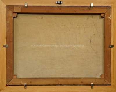  / Pohled na Sovovy mlýny a Karlův most / Bedřich  Feigl