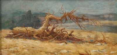  / Na břehu / Jaroslav Panuška