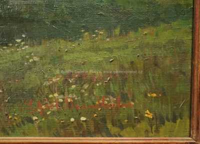  / Tichá voda / Lilli Gödl-Brandhuber