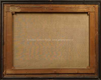  / Tichá voda / Lilli Gödl-Brandhuber