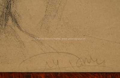  / Akt /   Autor neurčen