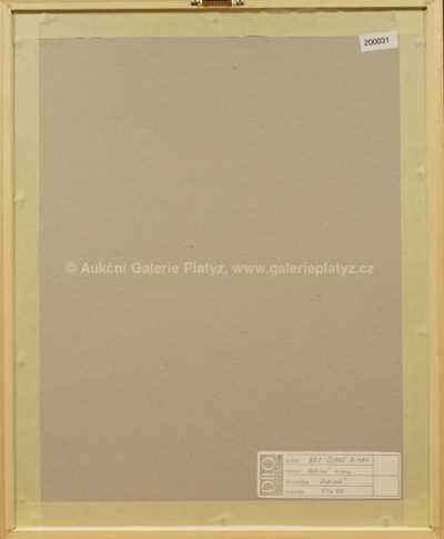  / Začíná zima / NGO QUANG NAM