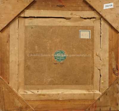  / Pohled na Pražský hrad / Josef Král