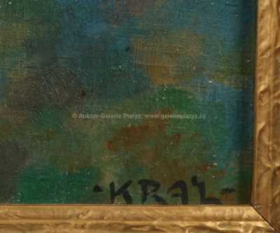  / Pohled na Pražský hrad / Josef Král