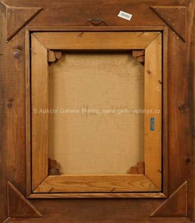  / Dívka v poli / Zdeněk Burian