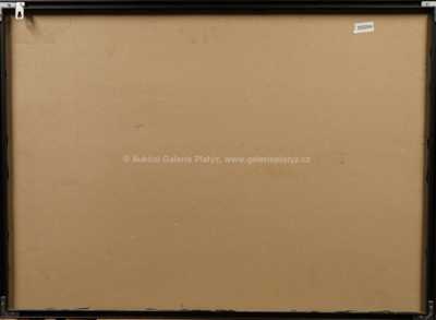  / Konvolut dvou kusů / Jiří Mrázek