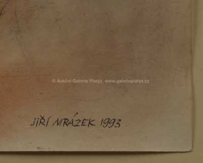  / Konvolut dvou kusů / Jiří Mrázek
