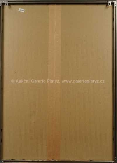  / Bez názvu / Miroslav Šnajdr ml.