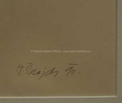  / Bez názvu / Miroslav Šnajdr ml.