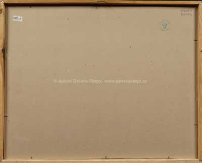  / Torza / Miloslav Chlupáč