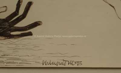  / Torza / Miloslav Chlupáč