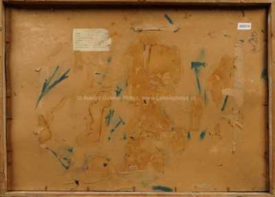  / Stadion / Jiří Mikula