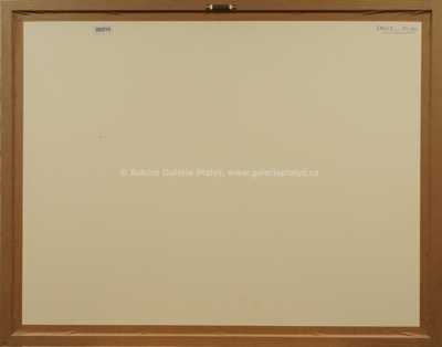  / Město budoucnosti / Milan Ressel