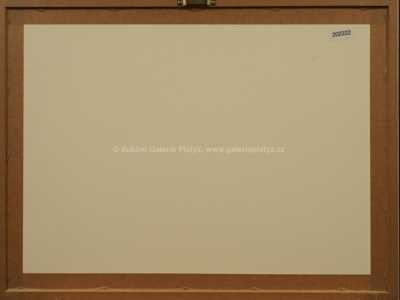  / Návrhy ilustrací / Zdeněk Burian