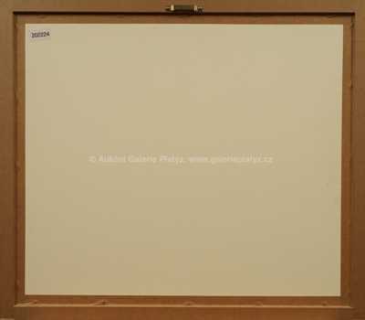  / Napadení / Zdeněk Burian