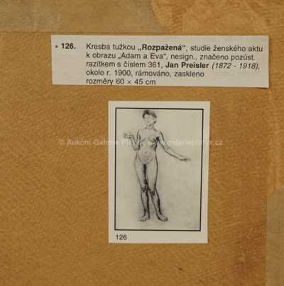  / Studie ženského aktu / Jan Preisler