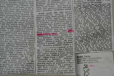  / Děvčátko v bílém čepci / Václav Brožík