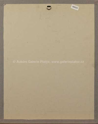  / Dívka s květinou / Vladimír Komárek