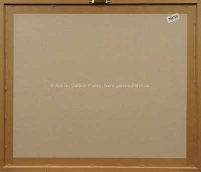  / Vikingové / Zdeněk Burian