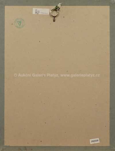  / Modrá hlava / Josef  Istler