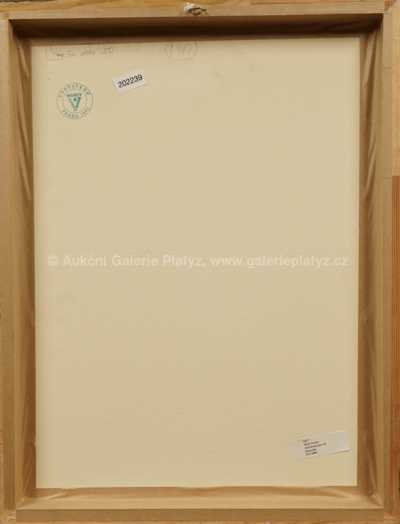  / Astrofyzikální věž / Václav Tikal