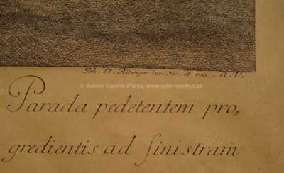  / Jezdec na koni /   Autor neurčen