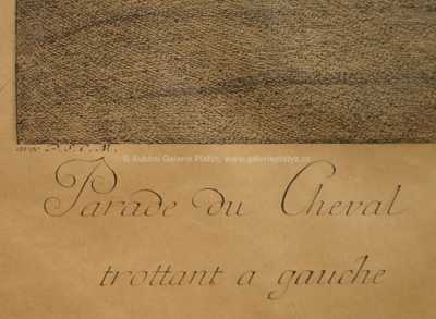  / Jezdec na koni /   Autor neurčen