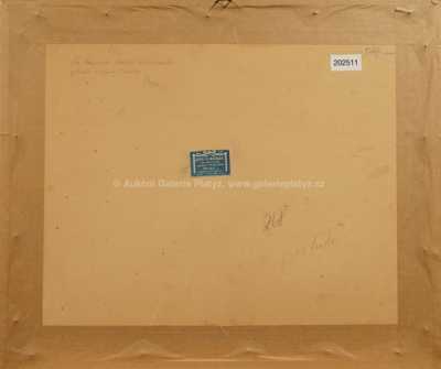  / Pražské nábřeží / František Tavík Šimon