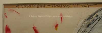  / Enzo Pagani / Vladimír Novák