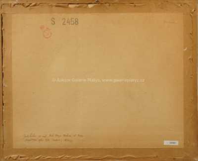  / Nepřirozená ryba / Josef Liesler