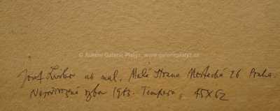  / Nepřirozená ryba / Josef Liesler