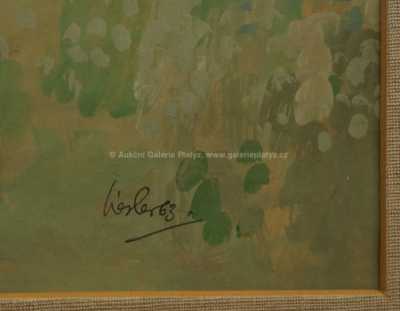  / Nepřirozená ryba / Josef Liesler