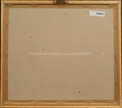  / Jaro / Ota Janeček