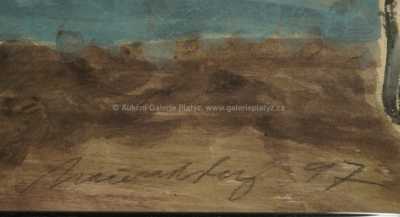  / Atlet / Jiří Načeradský