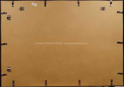  / Atlet / Jiří Načeradský