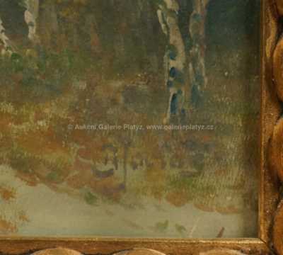  / U březového háje / Bohumil Jaroš