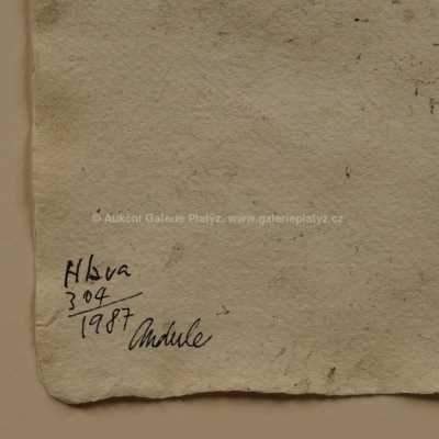  / Hlava / Jiří Anderle
