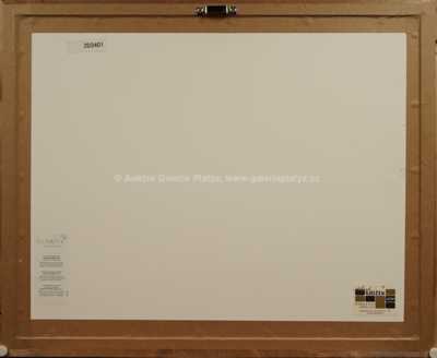  / Rychlé šípy na výletě / Marko Čermák