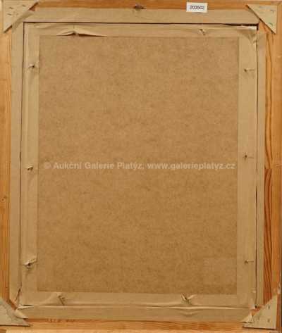  / Pohled na vesnici / Jan Trampota