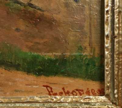  / Rozbořená chalupa / Ferdinand Prokop