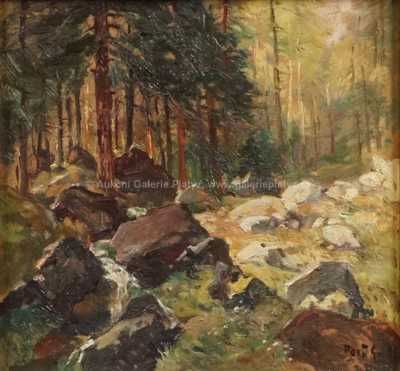  / Lesní bystřina / Gustav  Porš