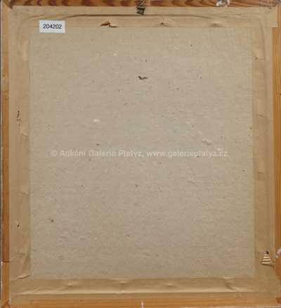  / Pražský hrad / František Jiroudek